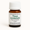 Arborvitae (Thuya) Essential Oil