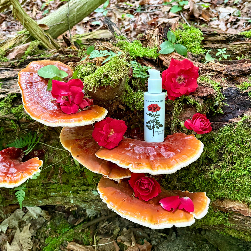 Rose & Reishi Serum