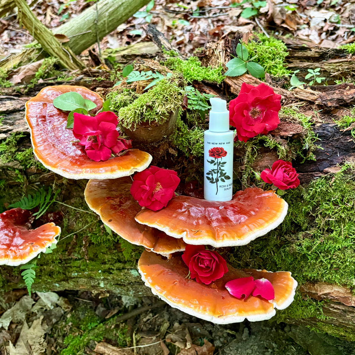 Rose & Reishi Serum