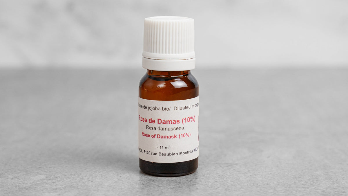 Damask Rose Absolute 10% in Jojoba